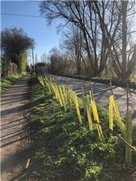 Hedgerow Project