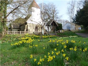 Christmas wishes and opening hours