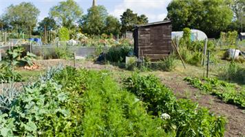 Parish Allotments