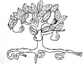 Next Parish Council Meeting - 3rd December 2025