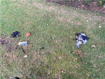 Mindless littering at the recreation ground