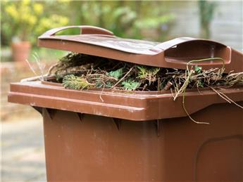 News about our Brown Garden Bins