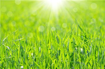 Grass cutting season is upon us.