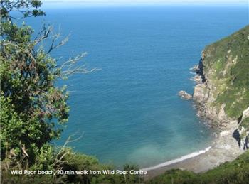 Wild Pear Centre, Combe Martin, Devon