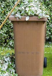 Garden Waste Service resumes 22 February