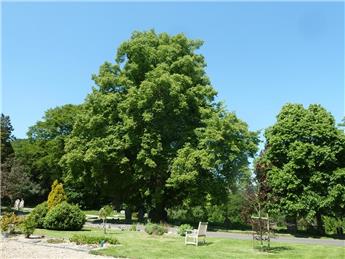 Access to Battle Cemetery