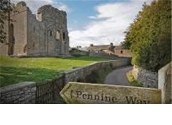 Welcome to the website!