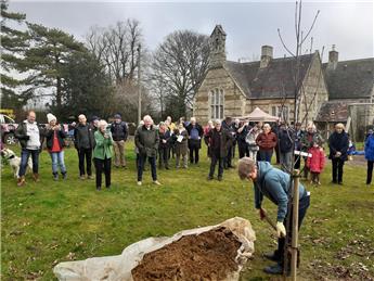 We planted a tree for the Jubilee