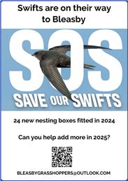 Bleasby Swifts Update