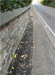 Whitchurch Road from Hollybank to Copthorne Drive