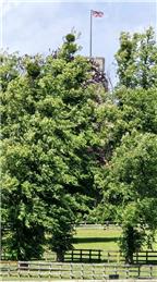 Friendly against The Royal Household in Windsor