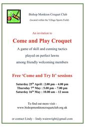 Come and Play Croquet