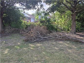 Chestnut Grove Incident