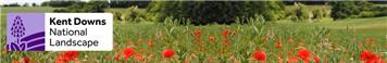 Have your say on the Kent Downs National Landscape Draft Management Plan
