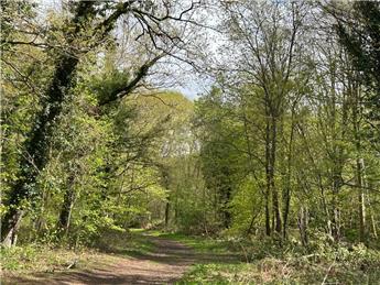 Monday 20th April 2026 Herbert Plantation