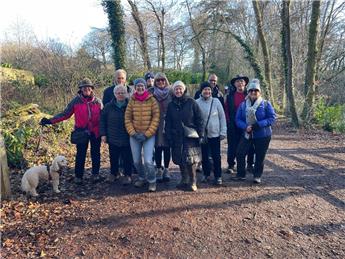 Winter Walk
