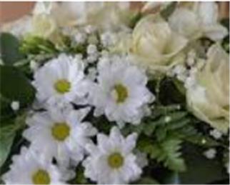 Lewin Stanton- Funeral details