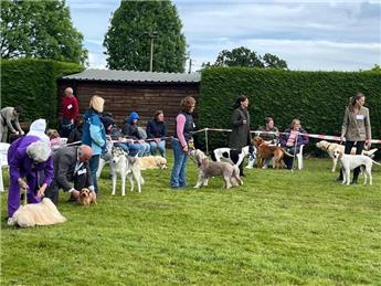Whixall Dog show Photos and Report