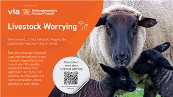 Rights of Way & Sheep worrying