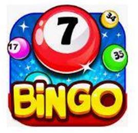 Bingo Night - Saturday 17th November