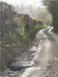 Update  HALL LANE