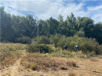 Volunteering Opportunity on Spade Oak Peninsular Saturday 22nd August 2026