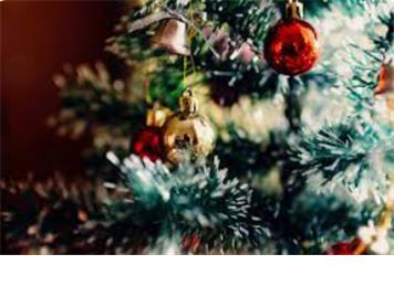 December 2023 Executive meeting reports