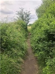 Overgrown Public Rights of Way