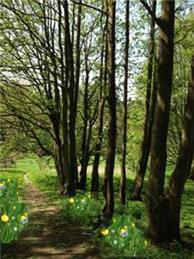 Spring Social Saturday 14th March 2026