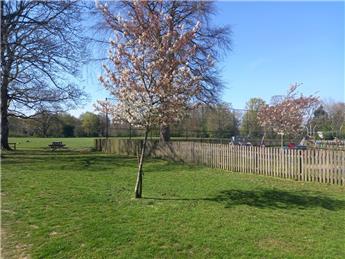 🐣🐰Easter Week at Langton Green Recreation Ground🐰🐣