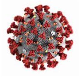 Coronavirus Guidance