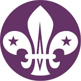 Your Parish Council Gives a Donation to Local Scout Group