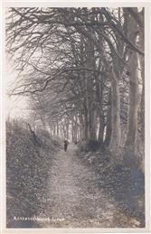 New Postcard added to website