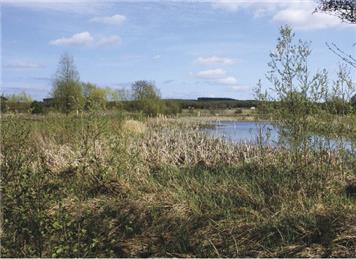 Wellcome Trust Wetlands: Memorial Bench Invitation