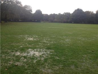 Langton Green Recreation Ground Renovation Project