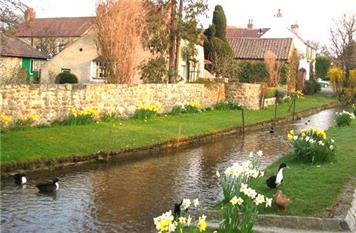 MORE ADVICE SOUGHT ON BECK DUCKS PLAN