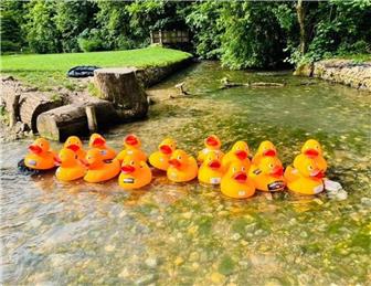Duck Race