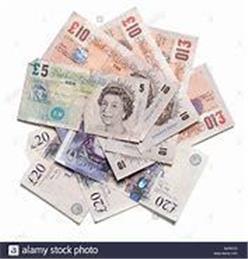 2019 Membership Fees