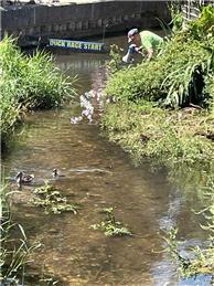A Quacking good time at the Duck Race!