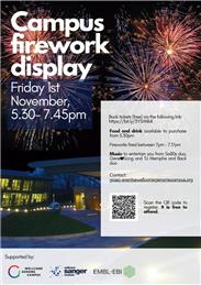 Campus Firework Display