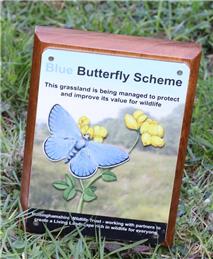 Kelham gets a wildlife garden