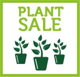 Plant Sale
