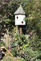 Dove Cote or Dovecot?