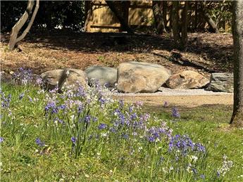 Exciting new feature at The Withies!