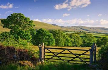 Welcome to the Whitchurch Hampshire Parish planning website