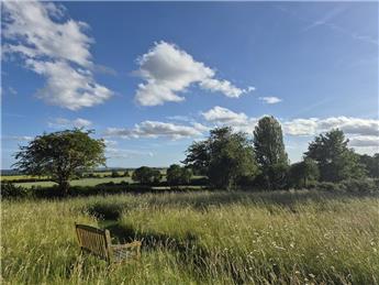Contemplation Garden - Summer 2026 Update