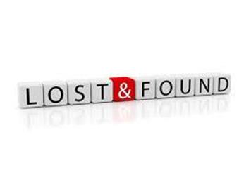 Lost & found earring