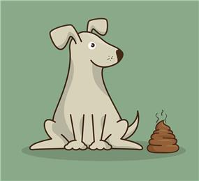 Dog Fouling