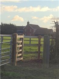 Buckland Community Orchard