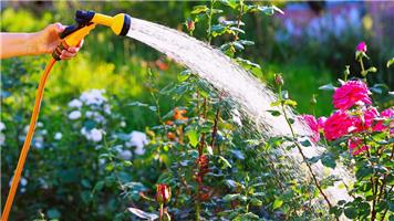 Hosepipe Ban